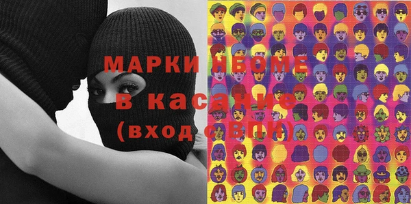 прущие грибы Михайлов