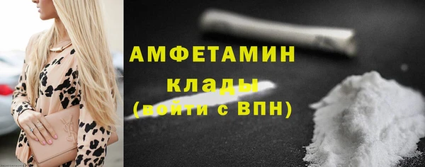 прущие грибы Михайлов