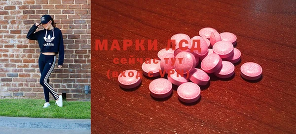 прущие грибы Михайлов