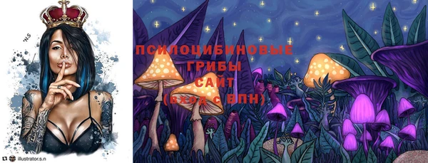 эйфоретик Надым