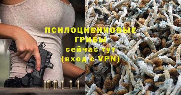 эйфоретик Надым