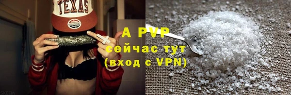 гашик Болохово