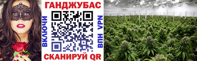 shop наркотические препараты  Дмитровск  Конопля LSD WEED  omg tor 
